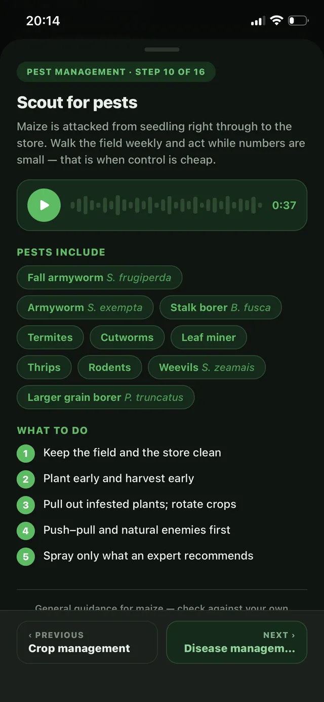 Full expert guide with an audio version you can listen to